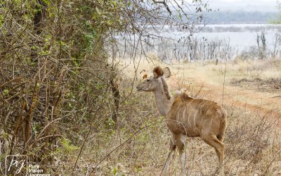 Kyle Recreational Park_0017