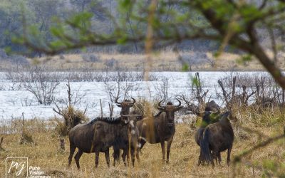 Kyle Recreational Park_0019