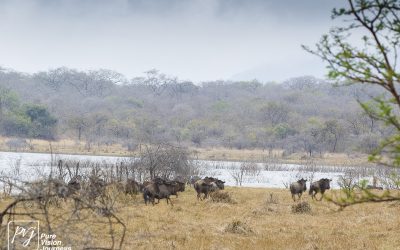 Kyle Recreational Park_0020