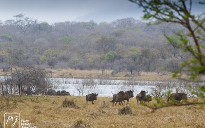 Kyle Recreational Park_0021