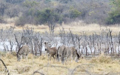 Kyle Recreational Park_0023