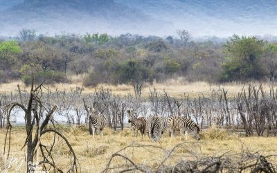 Kyle Recreational Park_0024