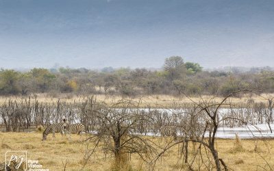 Kyle Recreational Park_0026