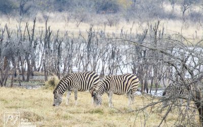 Kyle Recreational Park_0027