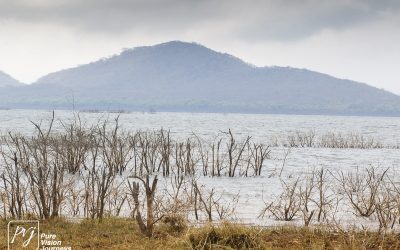 Kyle Recreational Park_0028