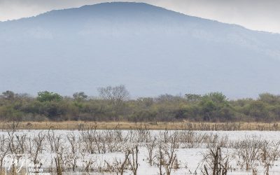 Kyle Recreational Park_0029