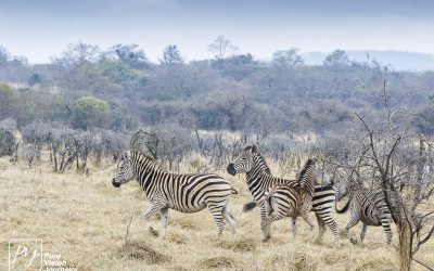 Kyle Recreational Park_0030