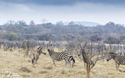 Kyle Recreational Park_0031