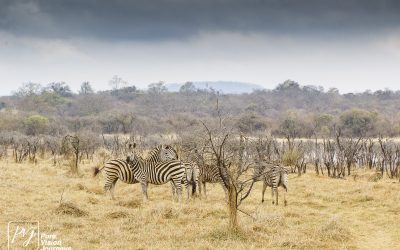 Kyle Recreational Park_0032