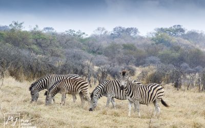 Kyle Recreational Park_0033