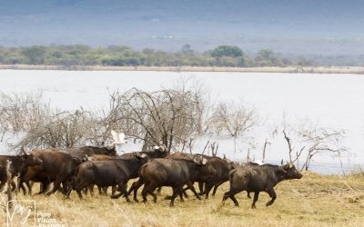 Kyle Recreational Park_0034