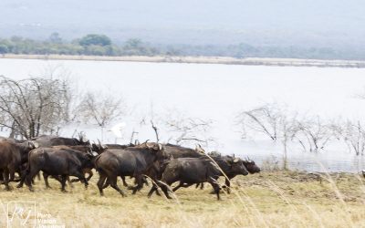 Kyle Recreational Park_0035