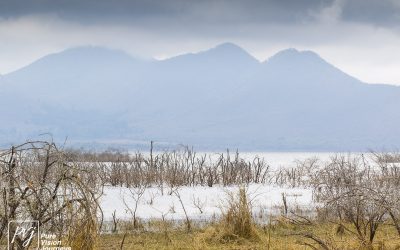 Kyle Recreational Park_0036