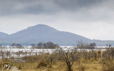 Kyle Recreational Park_0037