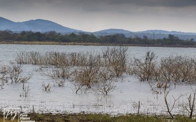 Kyle Recreational Park_0038