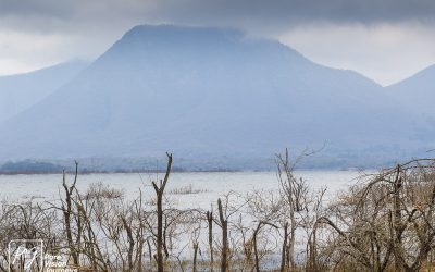 Kyle Recreational Park_0039