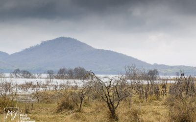 Kyle Recreational Park_0040