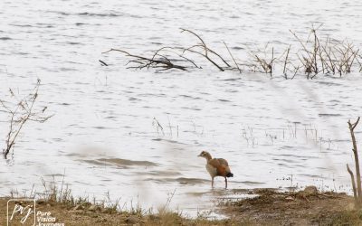 Kyle Recreational Park_0041