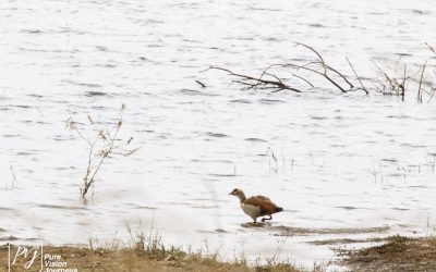 Kyle Recreational Park_0042