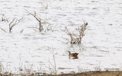 Kyle Recreational Park_0043