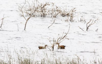 Kyle Recreational Park_0044