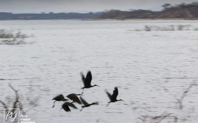 Kyle Recreational Park_0045