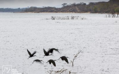 Kyle Recreational Park_0046