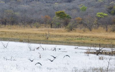 Kyle Recreational Park_0048