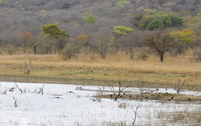 Kyle Recreational Park_0050