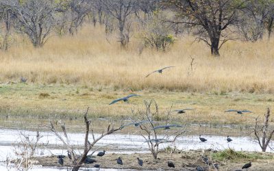 Kyle Recreational Park_0052