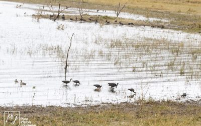 Kyle Recreational Park_0053