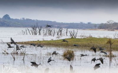 Kyle Recreational Park_0054