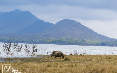 Kyle Recreational Park_0055