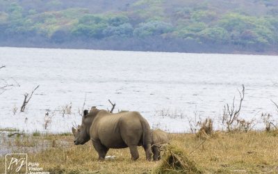 Kyle Recreational Park_0056