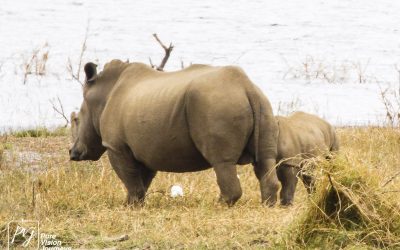 Kyle Recreational Park_0057