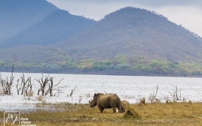 Kyle Recreational Park_0058