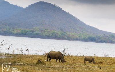 Kyle Recreational Park_0060