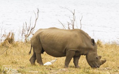 Kyle Recreational Park_0061