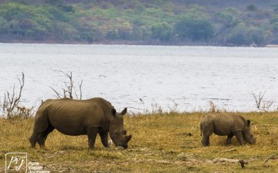 Kyle Recreational Park_0062