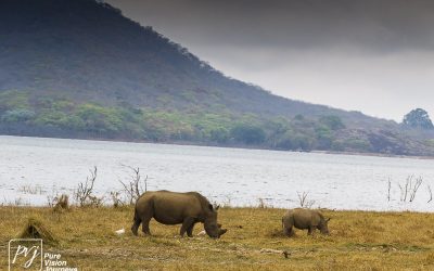 Kyle Recreational Park_0063