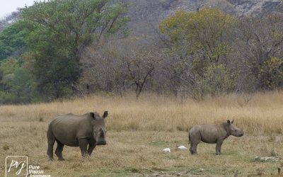 Kyle Recreational Park_0064