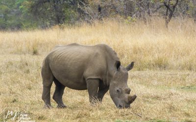 Kyle Recreational Park_0065