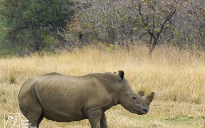 Kyle Recreational Park_0066