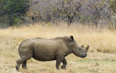 Kyle Recreational Park_0067