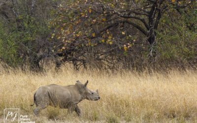 Kyle Recreational Park_0068