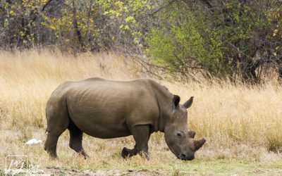 Kyle Recreational Park_0069