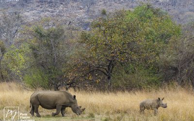 Kyle Recreational Park_0070