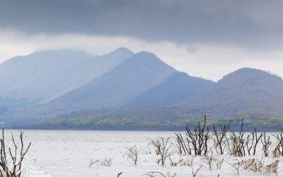 Kyle Recreational Park_0071