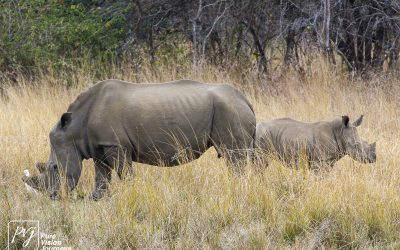 Kyle Recreational Park_0073