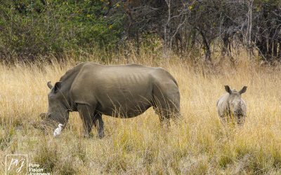 Kyle Recreational Park_0074